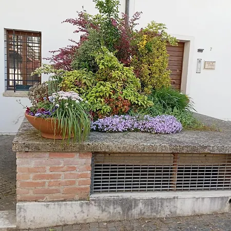 Casa Mirandola In Contra' Sant' Andrea *
